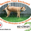 EZ-Clean - Odour & Stain Remover - Fragrance Free Spray