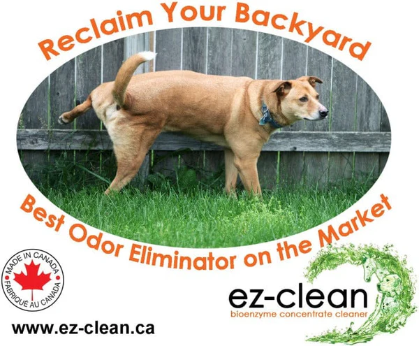 EZ-Clean - Odour & Stain Remover - Fragrance Free Spray