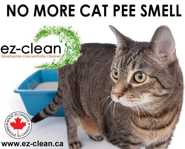 EZ-Clean - Odour & Stain Remover - Fragrance Free Spray