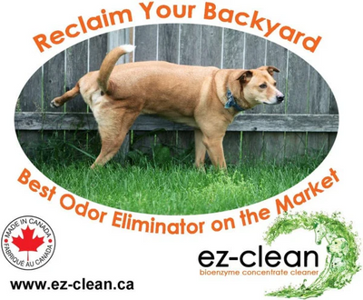 EZ-Clean - Odour & Stain Remover - Original Scent Spray