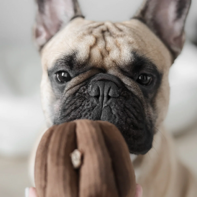 Lambwolf Collective - Canele Dog Toy