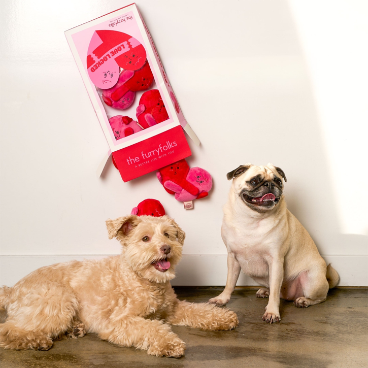 The Furryfolks - Love Locked Nosework Toy