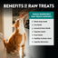 Northwest Naturals - Chicken Heart Freeze-Dried Treats - Single