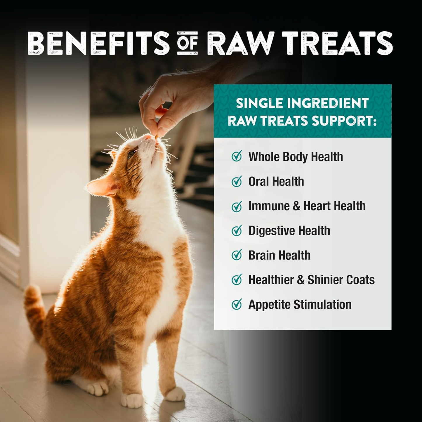 Northwest Naturals - Chicken Heart Freeze-Dried Treats - Single