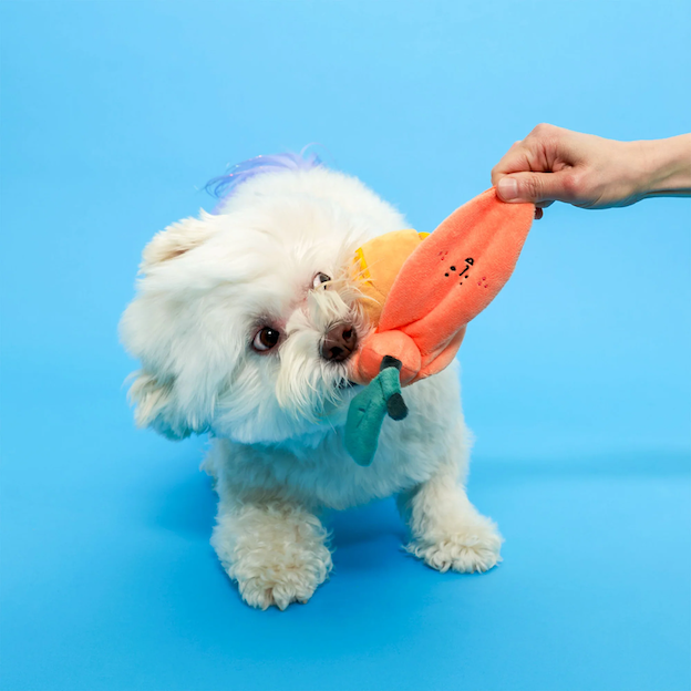 The Furryfolks - Orange Nosework Toy