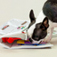 The Furryfolks - Newspaper Nosework Toy