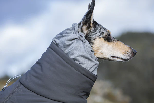 Hurtta - Extreme Overall Dog Snowsuit