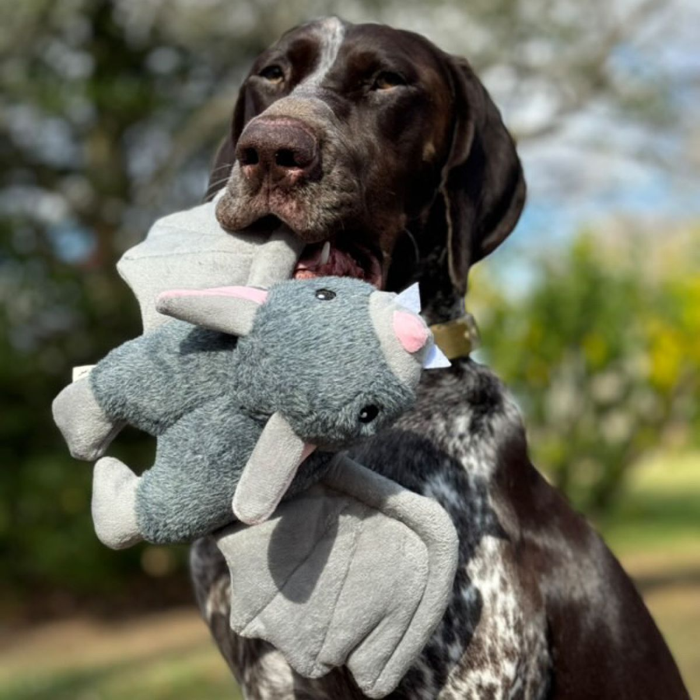 Tall Tails - Fling and Fetch Toy for Dogs - Bat