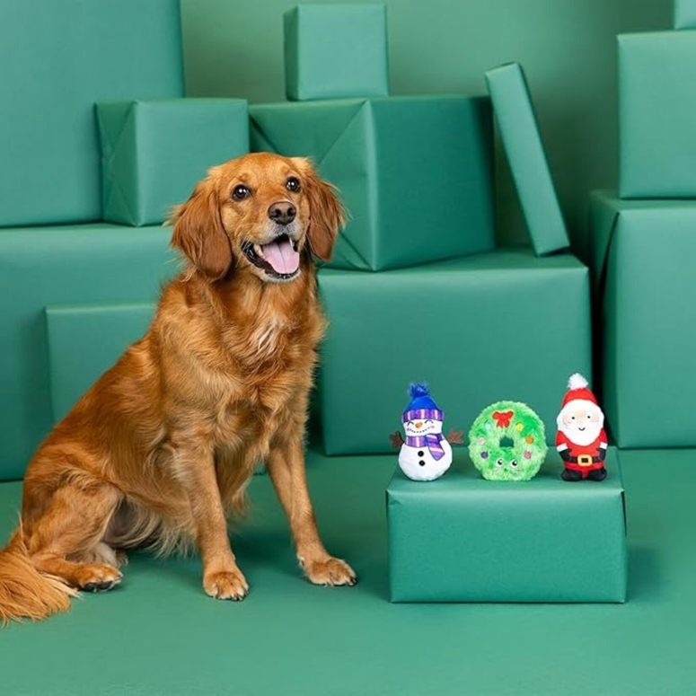 Fringe - We have Great Chemis-tree 3pk Small Dog Toy