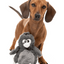 Fuzzyard - Danny Devicrow Dog Toy