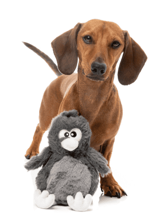Fuzzyard - Danny Devicrow Dog Toy