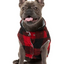 Fuzzyard - The Lumberjack Red/Black