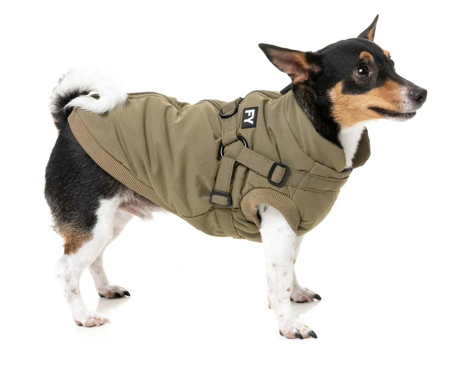 Fuzzyard - Flash Jacket