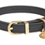 Fuzzyard Life - Atelier Dog Collar