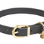 Fuzzyard Life - Atelier Dog Collar