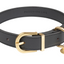 Fuzzyard Life - Atelier Dog Collar