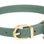 Fuzzyard Life - Atelier Dog Collar