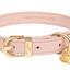 Fuzzyard Life - Atelier Dog Collar