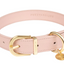 Fuzzyard Life - Atelier Dog Collar