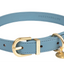 Fuzzyard Life - Atelier Dog Collar