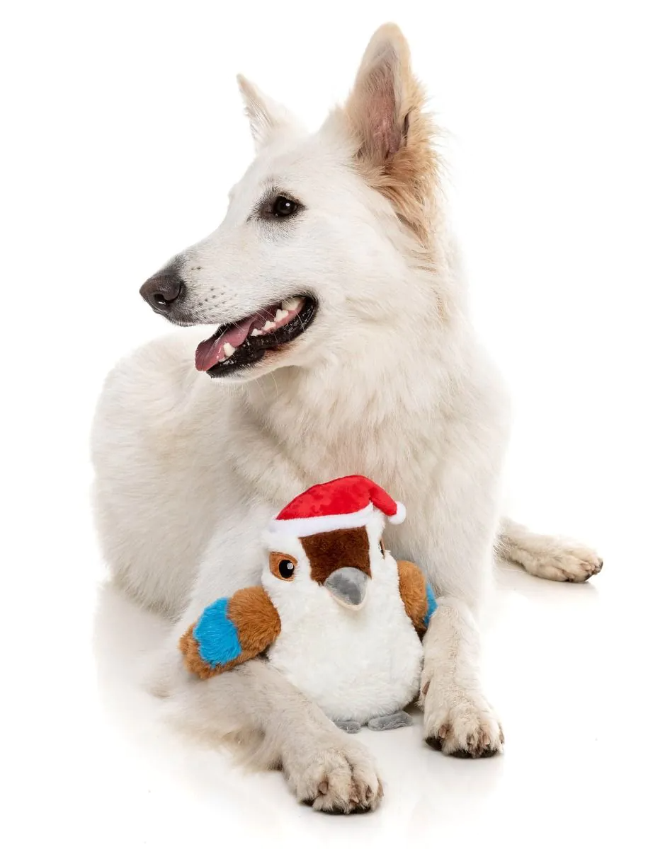 Fuzzyard - Ka-Tree-Na the Kookaburra Dog Toy