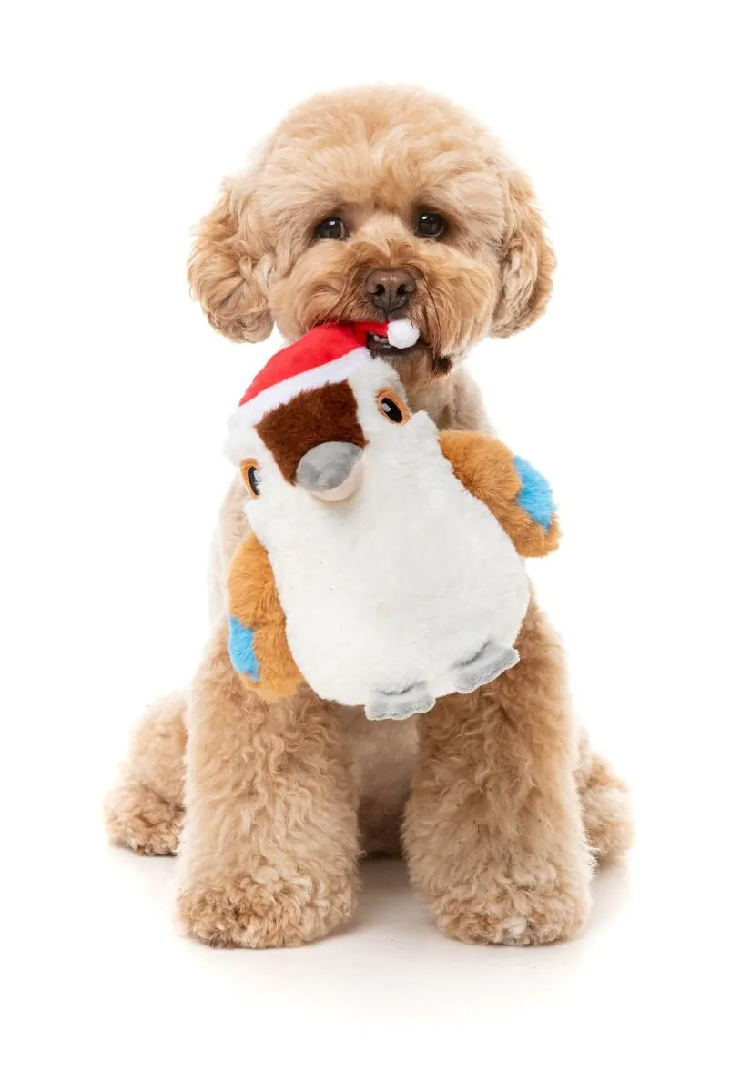Fuzzyard - Ka-Tree-Na the Kookaburra Dog Toy