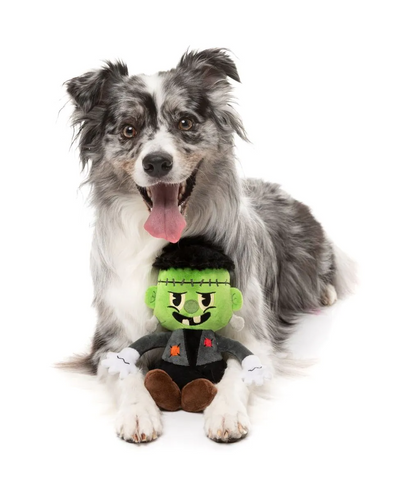 Fuzzyard - Igor Dog Toy