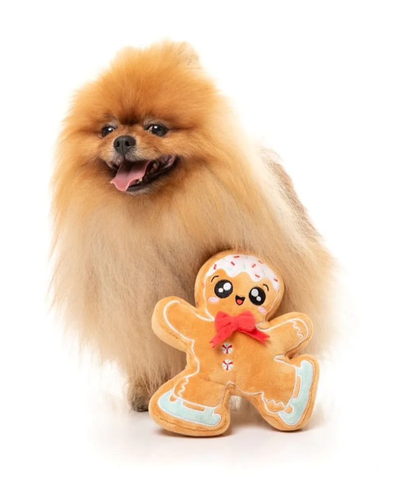 Fuzzyard - Biscuit Blader Dog Toy