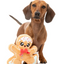 Fuzzyard - Biscuit Blader Dog Toy