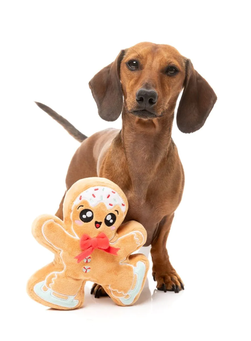 Fuzzyard - Biscuit Blader Dog Toy
