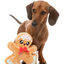 Fuzzyard - Biscuit Blader Dog Toy