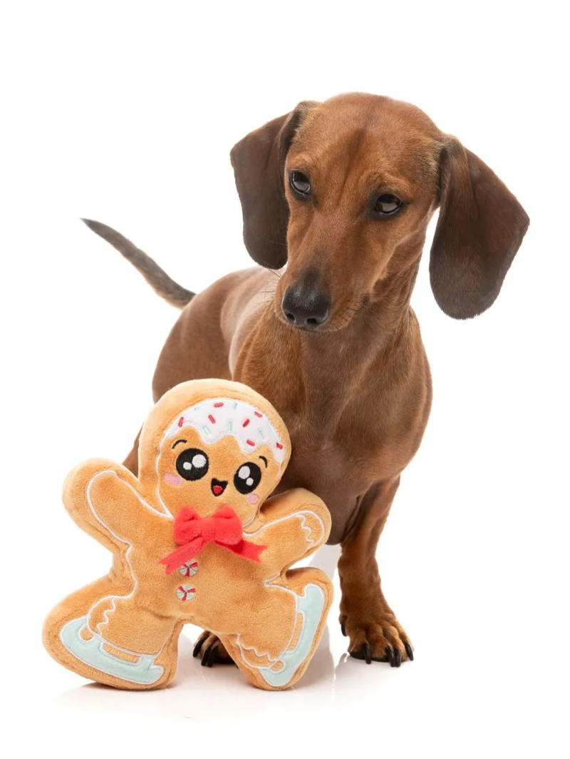 Fuzzyard - Biscuit Blader Dog Toy