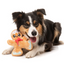 Fuzzyard - Biscuit Blader Dog Toy