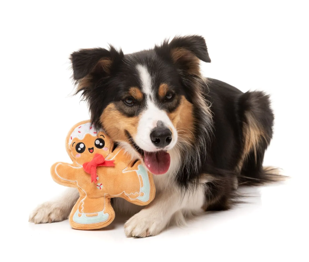 Fuzzyard - Biscuit Blader Dog Toy