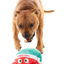 Fuzzyard - Santa Claws Dog Toy