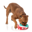 Fuzzyard - Santa Claws Dog Toy