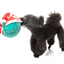 Fuzzyard - Santa Claws Dog Toy