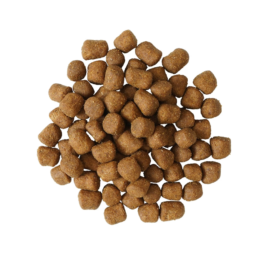 Go! - Dental & Immune Health - Dry Cat Food