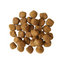 Go! - Dental & Immune Health - Dry Dog Food