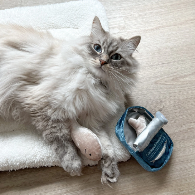 Lambwolf Collective - Kitty Sardines Dog Toy