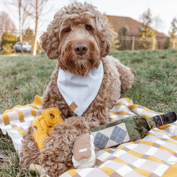 Lambwolf Collective - Fromage Dog Toy
