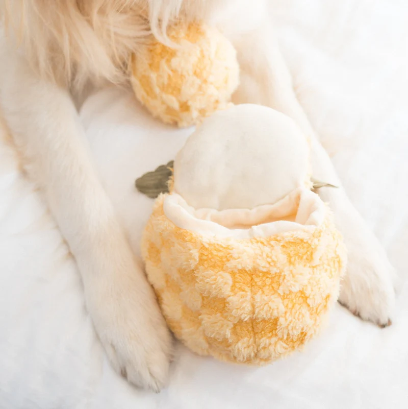 Lambwolf Collective - Pineapple Pop Dog Toy