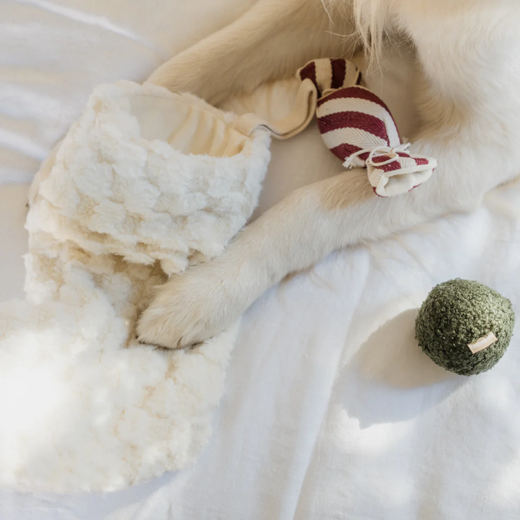 Lambwolf Collective - Xmas Stocking