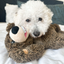 Tall Tails - Grizzly Rope Body Dog Toy