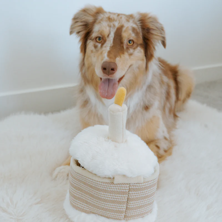 Lambwolf Collective - Birthday Cake Dog Toy