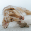 Lambwolf Collective - Birthday Cake Dog Toy