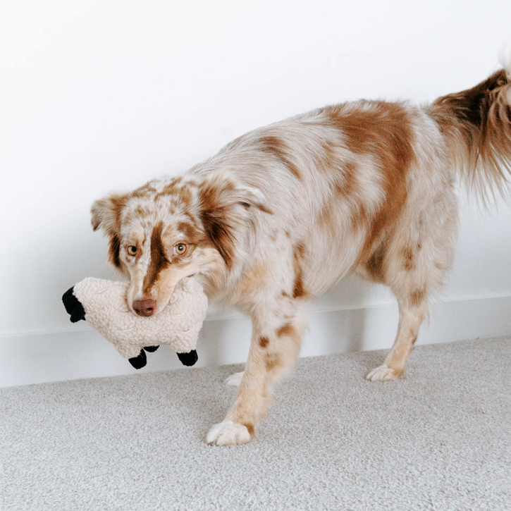 Lambwolf Collective - Lamb Dog Toy
