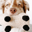 Lambwolf Collective - Lamb Dog Toy
