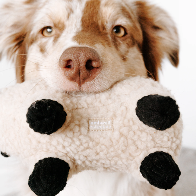Lambwolf Collective - Lamb Dog Toy