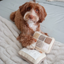 Lambwolf Collective - Eyeshadow Palette Dog Toy